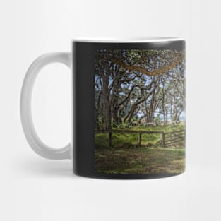 Wenderholm Pohutukawa Mug